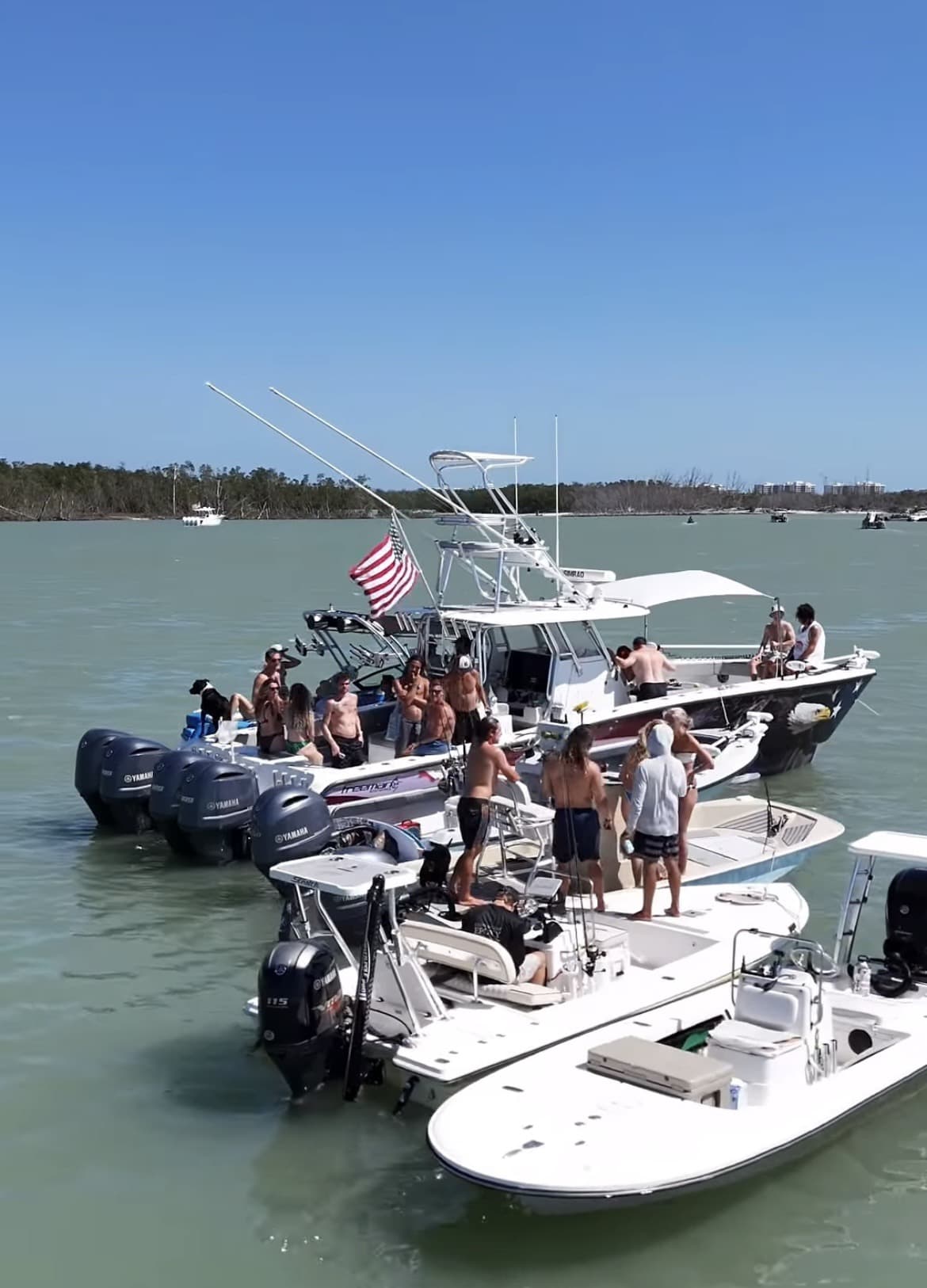 Sandbar Sunday