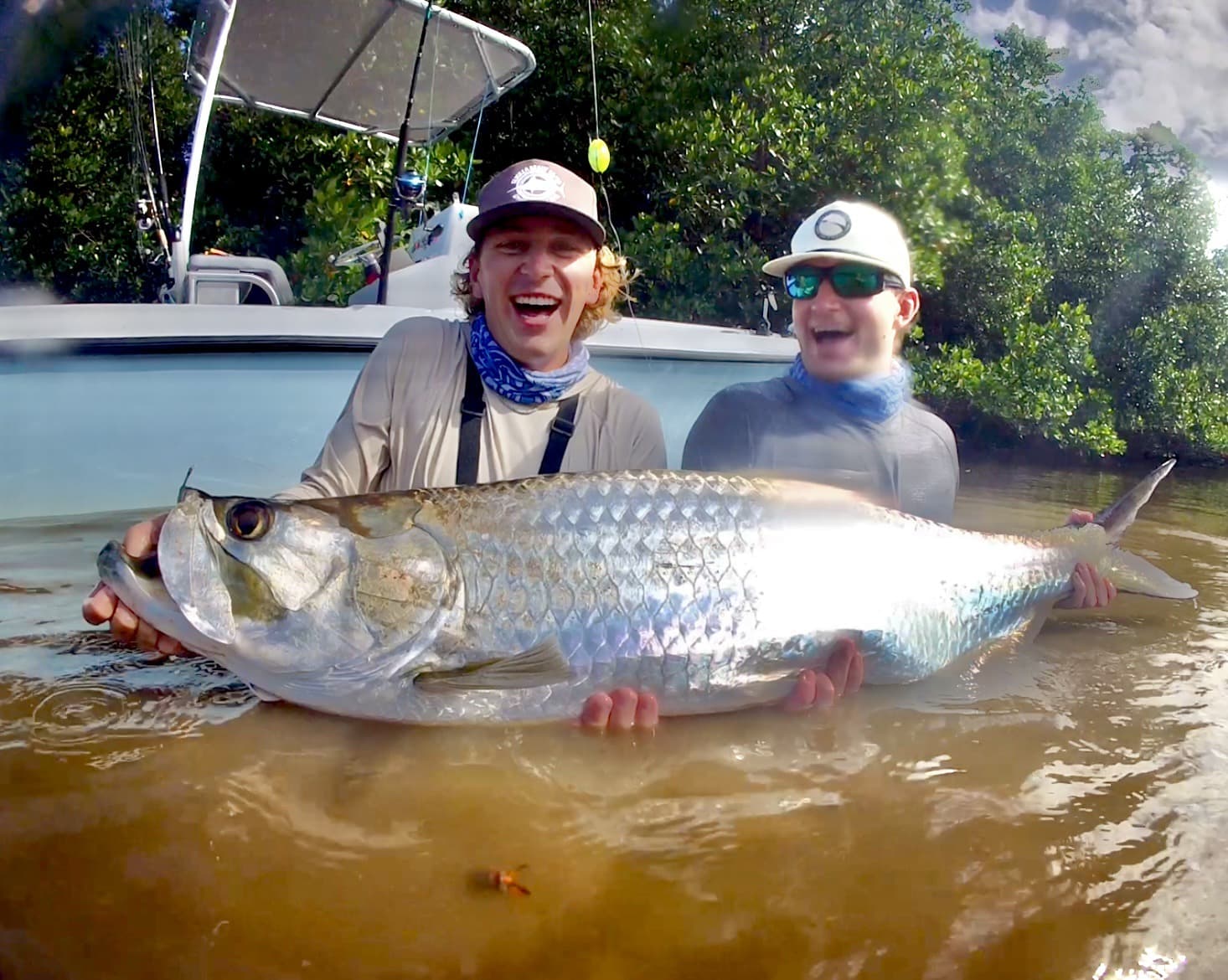 Tarpon laugh