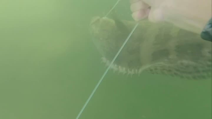 I’m looking to go beyond your average 6 hour fishing trip. I want to show you a 
