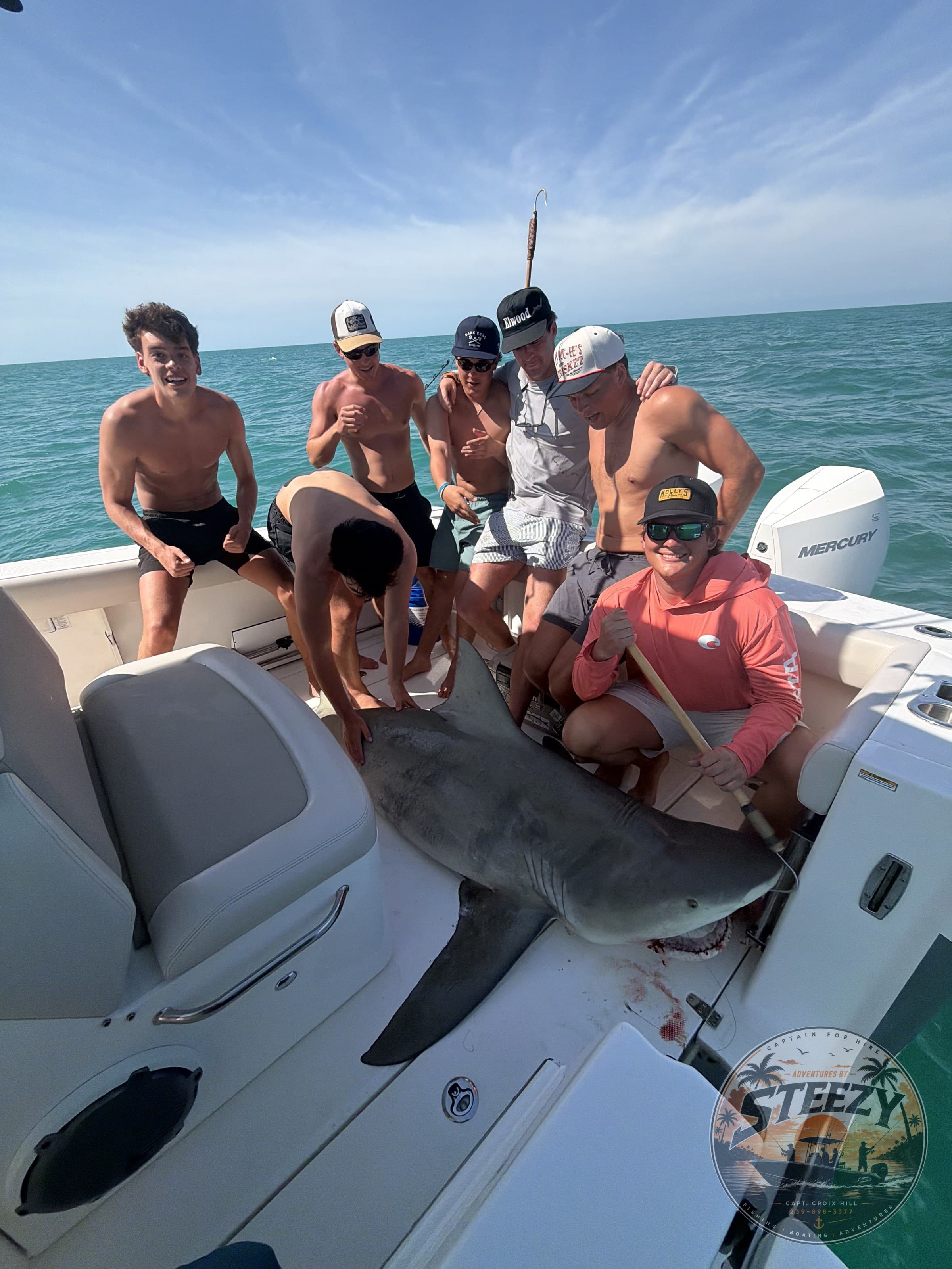 Boatside bull